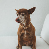 Tatum Chain Link Bracelet