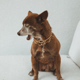 Tatum Chain Link Bracelet