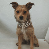 Sienna Chain Bracelet