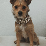 Sienna Chain Bracelet