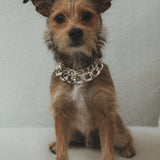 Sienna Chain Bracelet