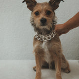 Sienna Chain Bracelet