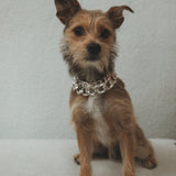 Sienna Chain Bracelet